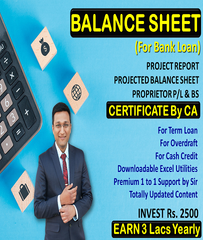 Bank Loan Financial Statement and Project Report By CA Piyush Gupta - Zeroinfy