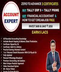 New Accounts Expert (Financial Accounts, Tally ERP 9, Tally Prime) By CA Piyush Gupta - Zeroinfy